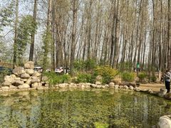 -林间山庄