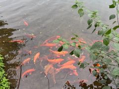-五泄景区