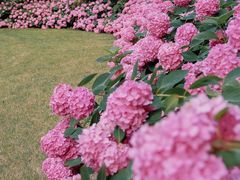 -上海滨江森林公园