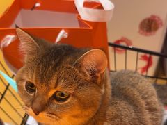 -MARSMART PETS火星宠物超市(1733店)