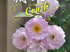 -无锡师范学校附属小学(学前街校区)