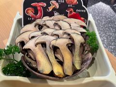 -季季山•云南野生菌火锅(上海首店)