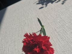 -橘洲1910花园江景西餐厅