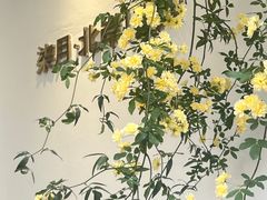 -柒月北岸民宿(西山店)