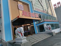 -大连湾旭日·家宴·海肠捞饭(马栏广场店)