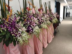 -FEI FEI FLOWER鲜花店·气球派对·宝宝宴布置(虹口德必运动Loft店)