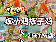 -椰小鸡·琼州糟粕醋(美兰缤纷城店)