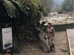 -西岭雪山大飞水景区