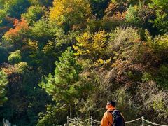 -少华山国家森林公园