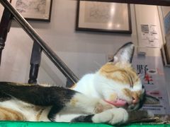 -洪齐林老镇