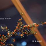 深夜灯火摇曳，人影凭栏，觅的小巷一处有温度的蛋包饭