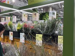 -鹿岛生活(熙地港店)