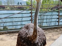 -羊亭河湿地公园