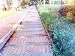 -铁路文化公园