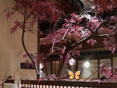 -揽季锅物会.福建黄鱼.海鲜姿造(五四路店)