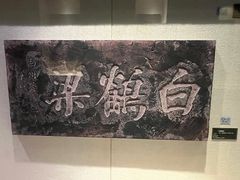 -白鹤梁水下博物馆