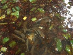 -惠记粉汤羊血(小南门店)