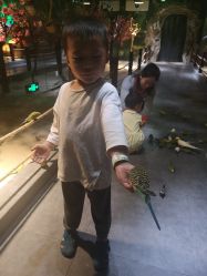 -酷嗒动物文化乐园(cutezoo西溪乐天城店)