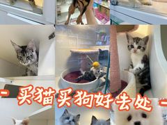 -天丰利生活MALL(和平里店)