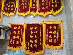 -瑞派名望志远动物医院·猫科·內科·异宠专科(直港大道店)