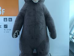 -济州岛泰迪熊博物馆