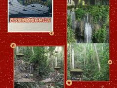 -西双版纳原始森林公园