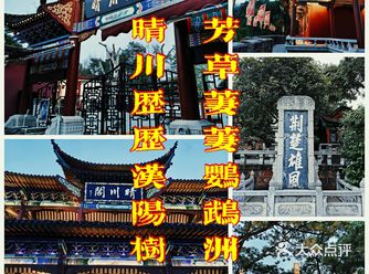 晴川历历汉阳树，芳草萋萋鹦鹉洲