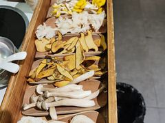 -菌小白·野生菌火锅(时尚天河店)