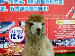 -国色天乡三期陆地乐园