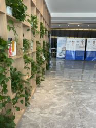 -碧莲盛·不剃发植发