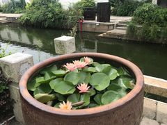 -黎里古镇