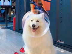 -RoMan罗马健身工作室(莘庄店)