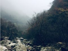 -牛背梁国家森林公园