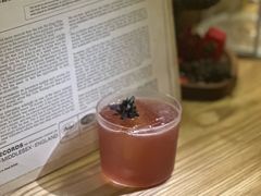 -Echo回声黑胶唱片咖啡馆