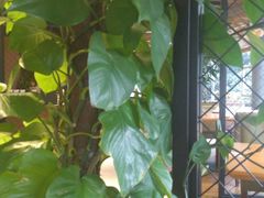 -盐帮食坊•小河帮川菜(四川师大店)