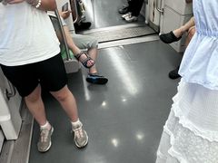 -星湖街(地铁站)