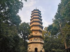 -灵谷景区