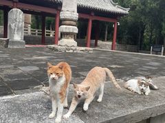 -四门塔风景区
