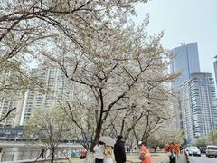 -西北湖绿化广场