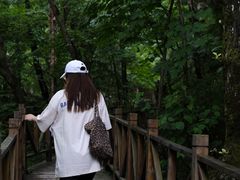 -青峰峡国家森林公园