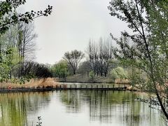 -翠湖国家城市湿地公园