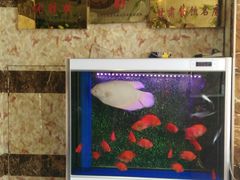 -鹏馨羊羔肉·非遗(新建街店)