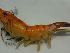 android_upload_pic-渔傅·蓝海岸霞浦海鲜(正祥店)