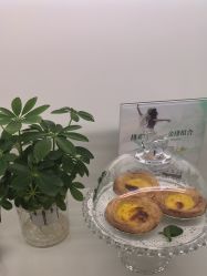 -YESIDO椰岛美容