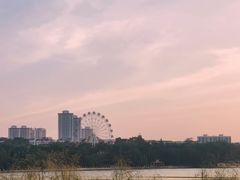 -南宁南湖公园
