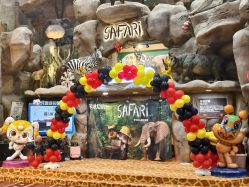 -卡通尼·Safari非洲探索乐园·生日会(金桥国际商业广场店)