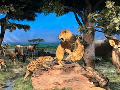 -国家自然博物馆