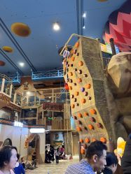 -卡通尼·Safari非洲探索乐园·生日会(金桥国际商业广场店)