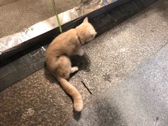 -民信老铺(人民路店)