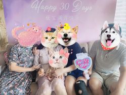 -巍阁高端月子会所